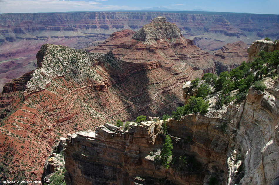 Cape Royal, north rim, Grand Canyon, Arizona