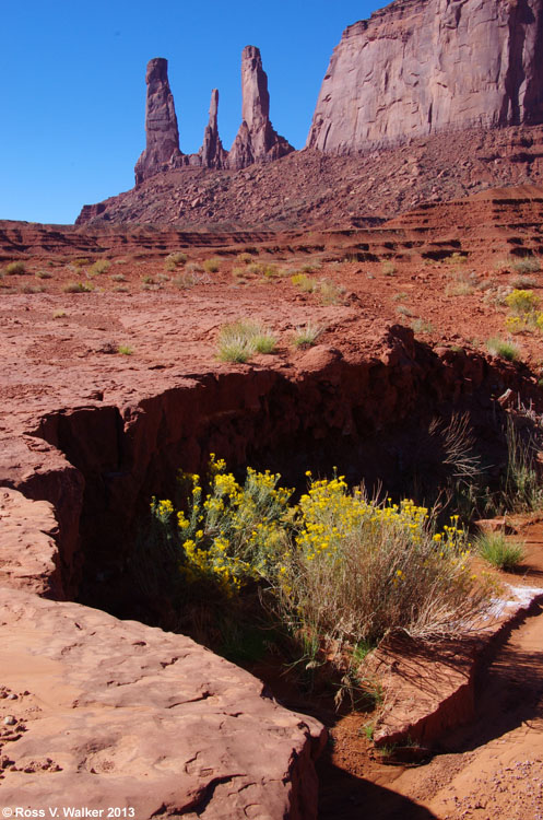 The Three sisters and rabbitbrush at Monument Valley Tribal Park, Arizona