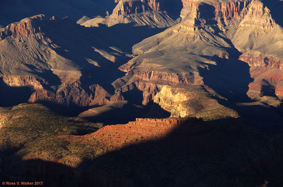 Late afternoon at Grandview Point, south rim, Grand Canyon, Arizona