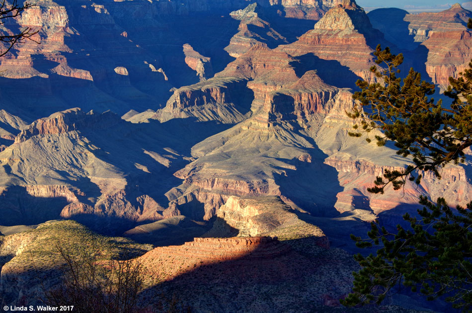 Afternoon shadows at Grandview Point, Grand Canyon, Arizona