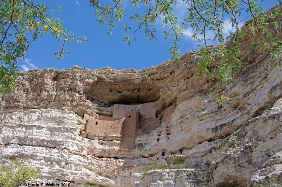 Montezuma Castle National Monument, Arizona