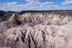 Blue Mesa Badlands