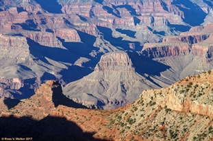 Yaki Point