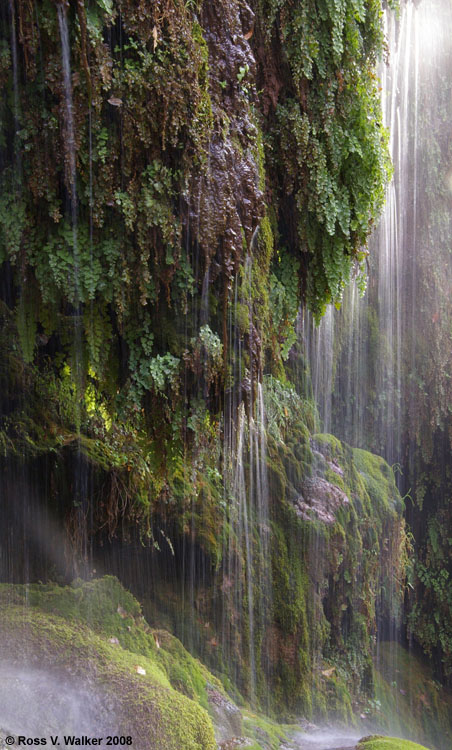 Grotto along Waterfall Trail in Tonto Natural Bridge State Park, Arizona