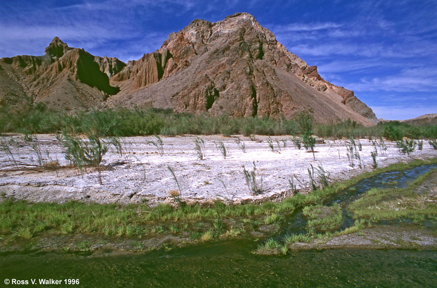 A small stream enters the Mojave River in Afton Canyon, California  