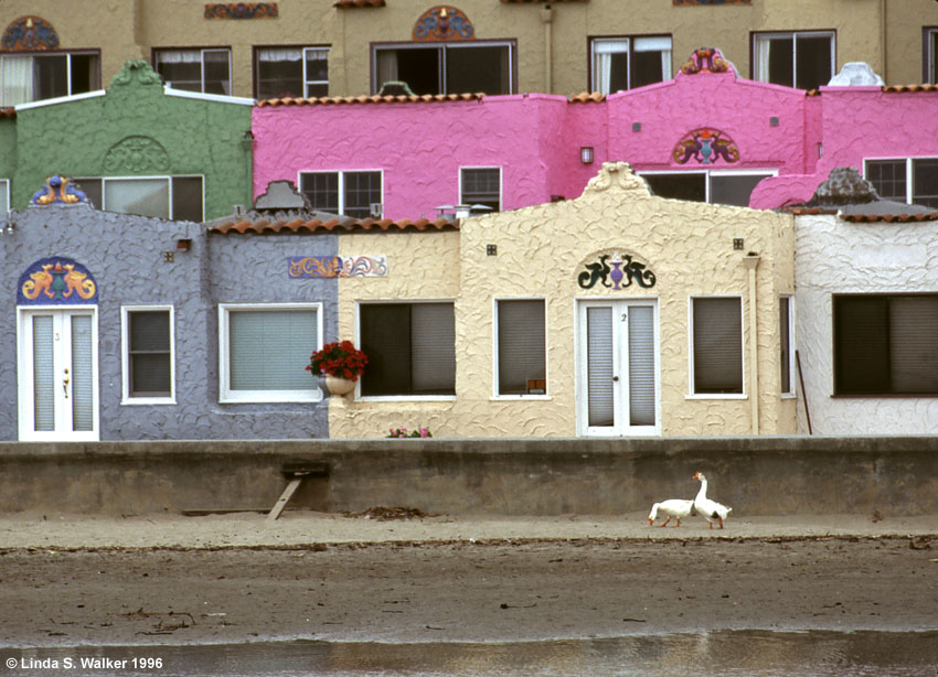 A stroll on the beach, Capitola, California  