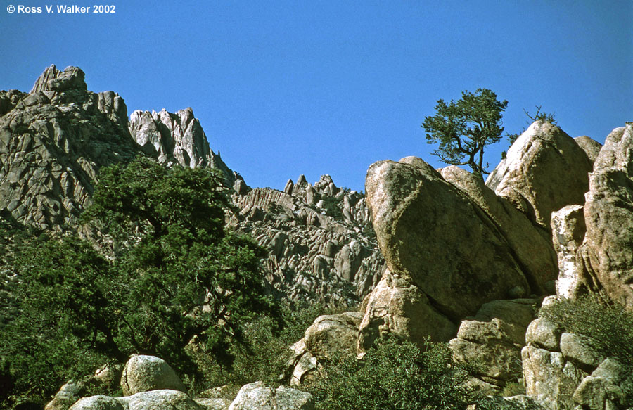 Caruthers Canyon, Mojave National Preserve, California