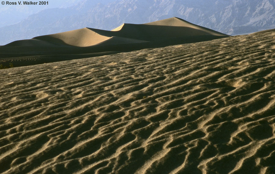 Sand dune ripples, Death Valley, California
