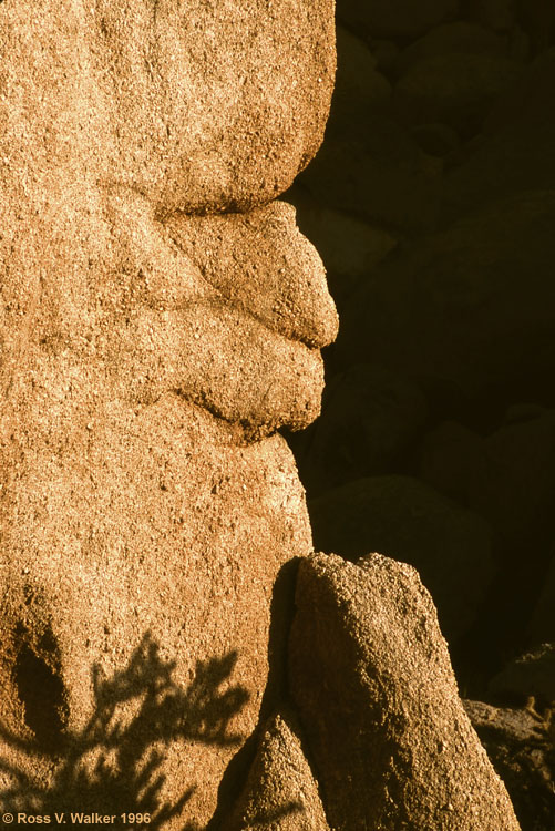 Rock face, Granite Mountains, Mojave National Preserve, California