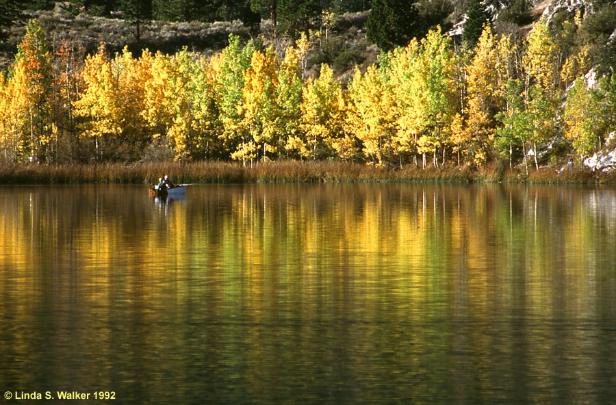 Autumn fishing, Gull Lake, June Lake Loop, California 