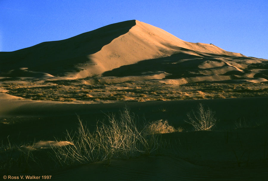 Kelso Dunes, Mojave National Preserve, California