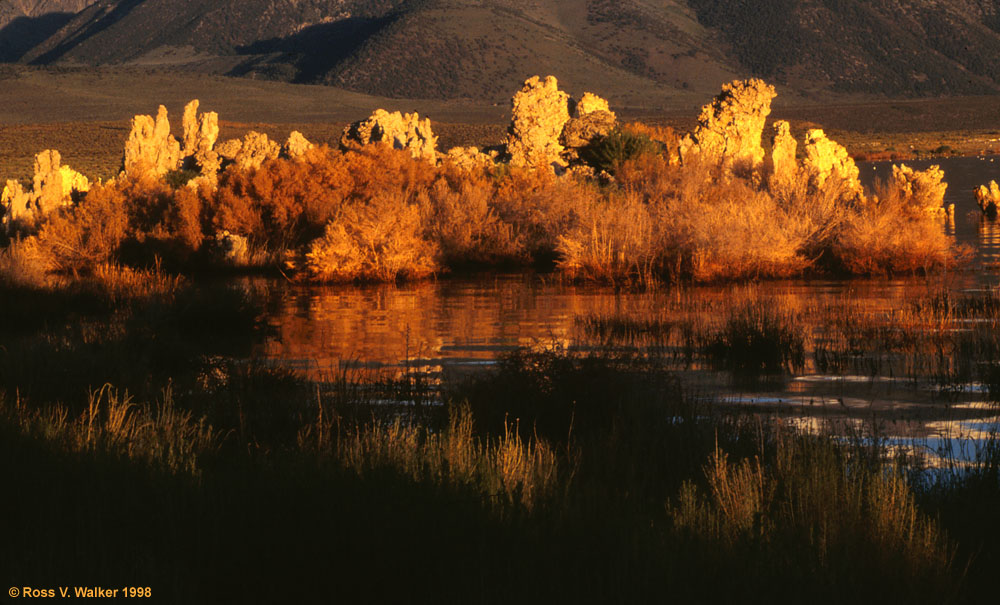 Mono Lake at dawn, California