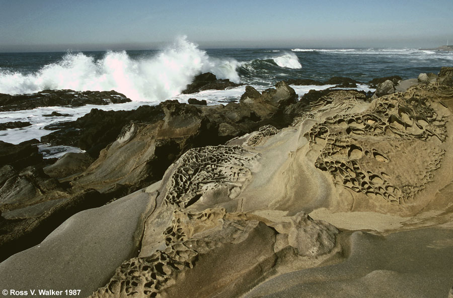 Pebble Beach roadside park, San Mateo County, California