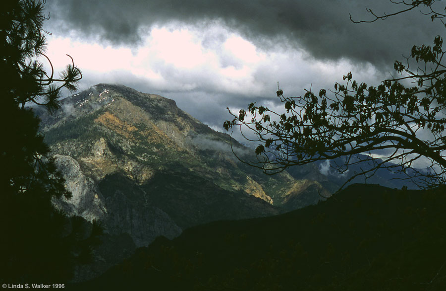 Sunlight through storm clouds, Sequoia National Park, California