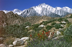 Alabama Hills