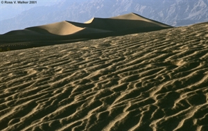 Death Valley Dunes