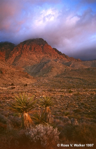 Providence State Recreation Area