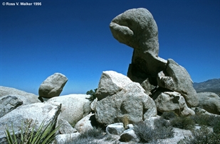 Rock Monster