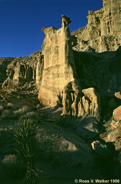 Dawn at the White Cliffs, Red Rock Canyon State Park, California