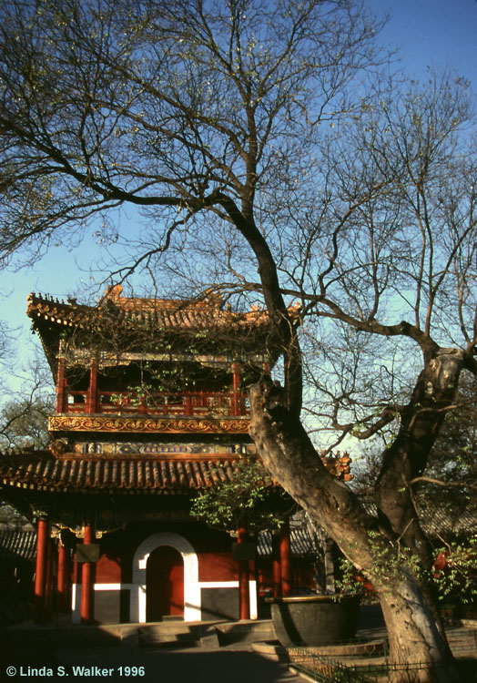 Lama Temple, Beijing, China