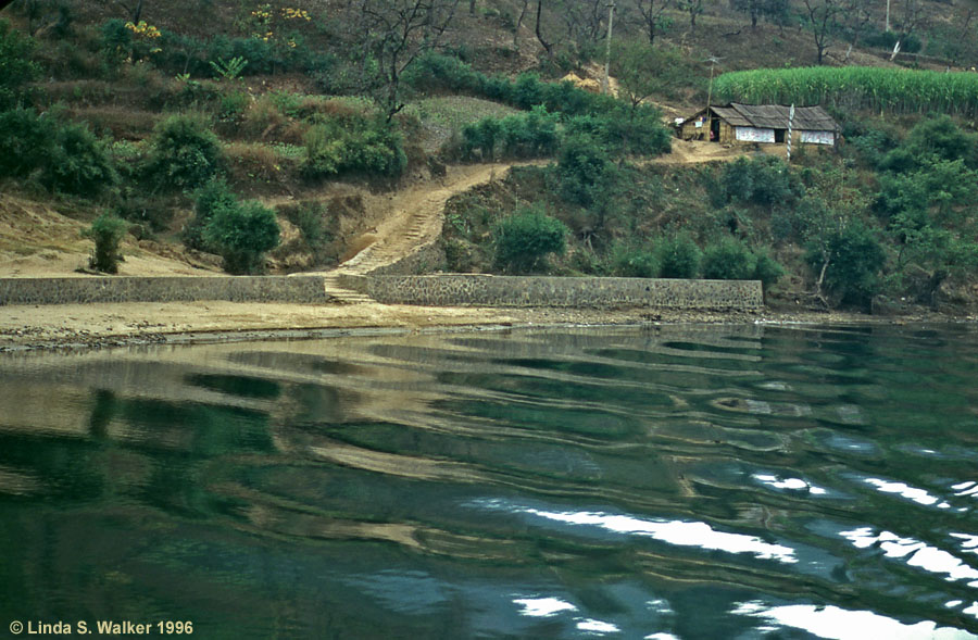 Ripples and Bamboo Farm, Li River, China