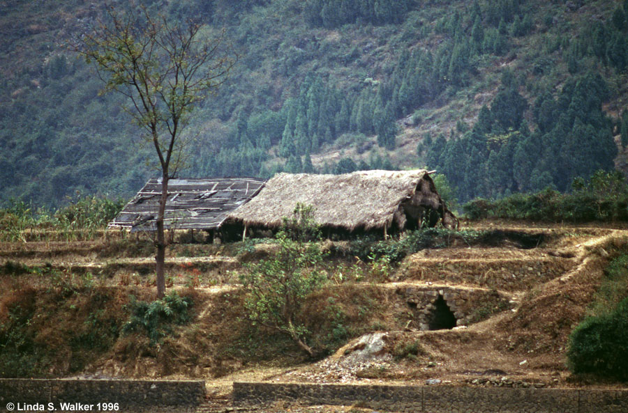 Village with Thatched Roofs, Li River, China