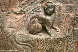 Cat carving, Dazu, China