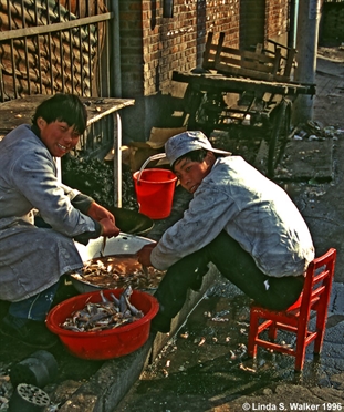 Men cleaning fish, China