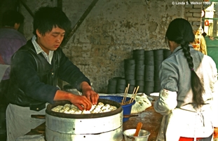 Dumpling maker