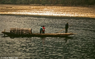 Poled boat