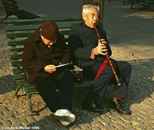 Seranade in a park, China