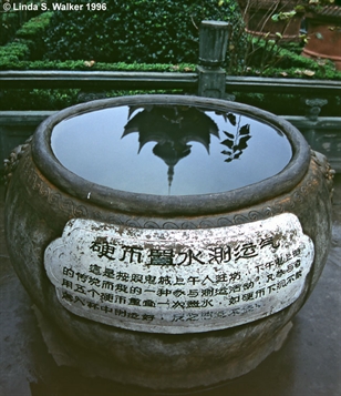 Temple reflection, Fengdu