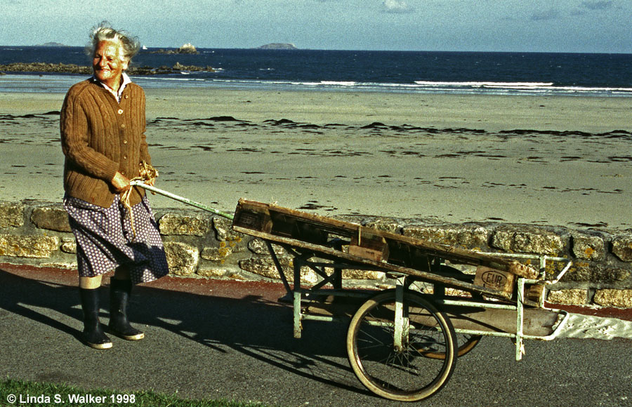 Beachcomber, Trevor Trestel, Brittainy, France