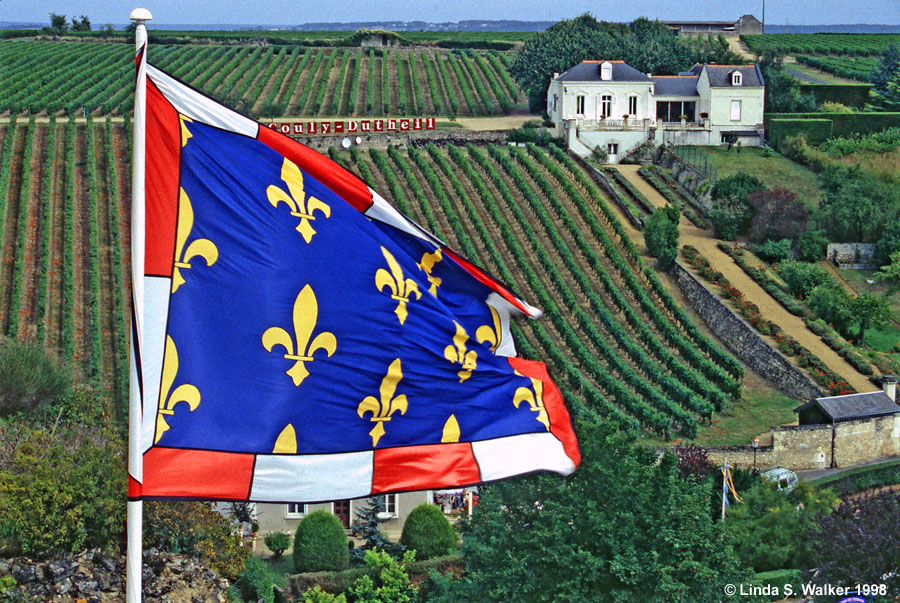 Flag and Vineyard, Chinon, Loire Valley, France