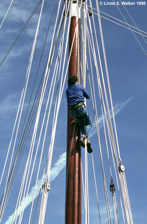Man Climbing Ship's Rigging, Paimpol, Brittainy, France
