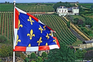 Flag and vineyard, Chinon, France