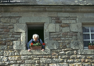 Lady in a window