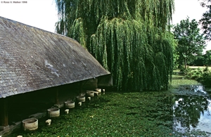 Ancient wash house, France