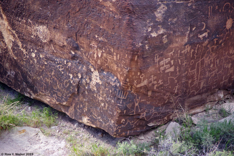 Newspaper Rock petroglyphs, Petrified Forest National Park, Arizona