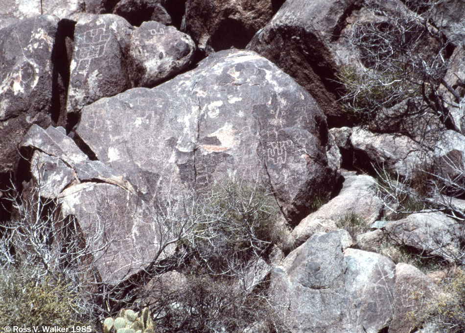 Petroglyphs at Camp Rock Spring, Mojave National Preserve, California
