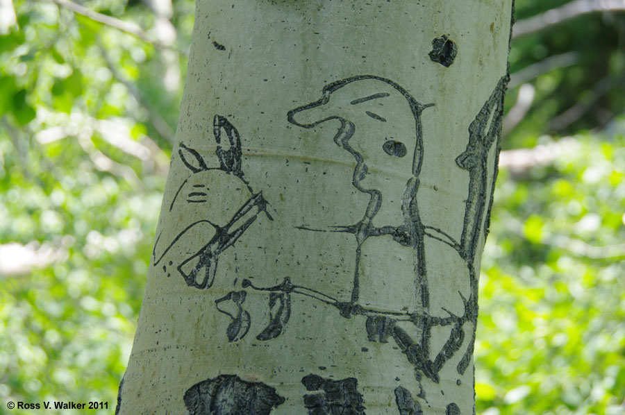 Sheepherder arborglyph, Monitor Pass, California