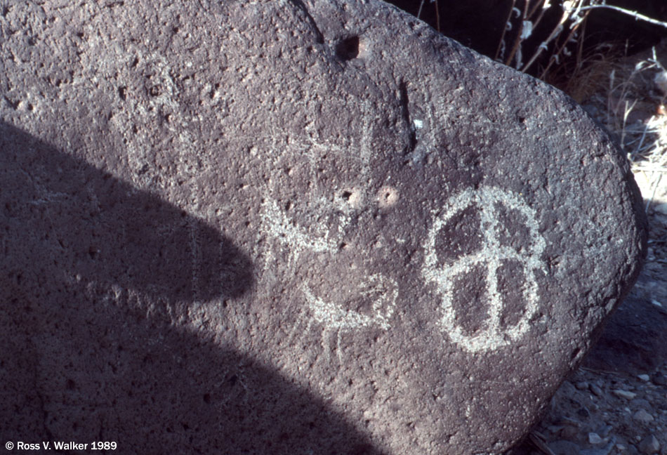 Piute Creek Petroglyph, Mojave National Preserve, California