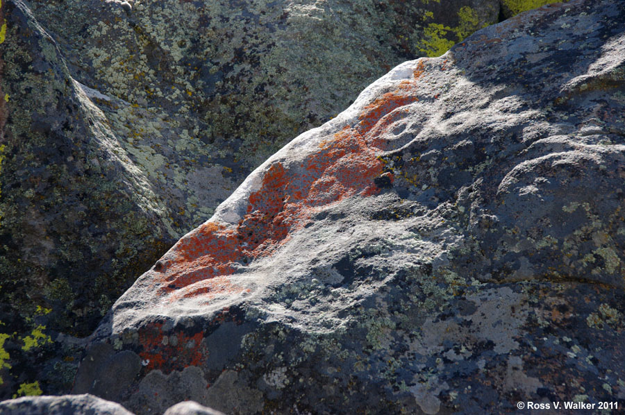 Deeply incised circular petroglyphs, Belfast, California