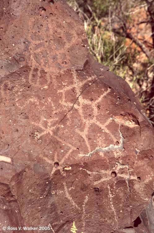 Black Tank Wash petroglyphs, Mojave National Preserve, California