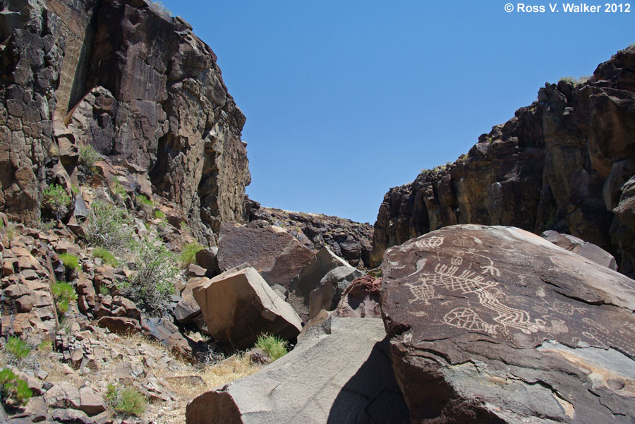 Canyon and Coso petroglyphs, China Lake, California