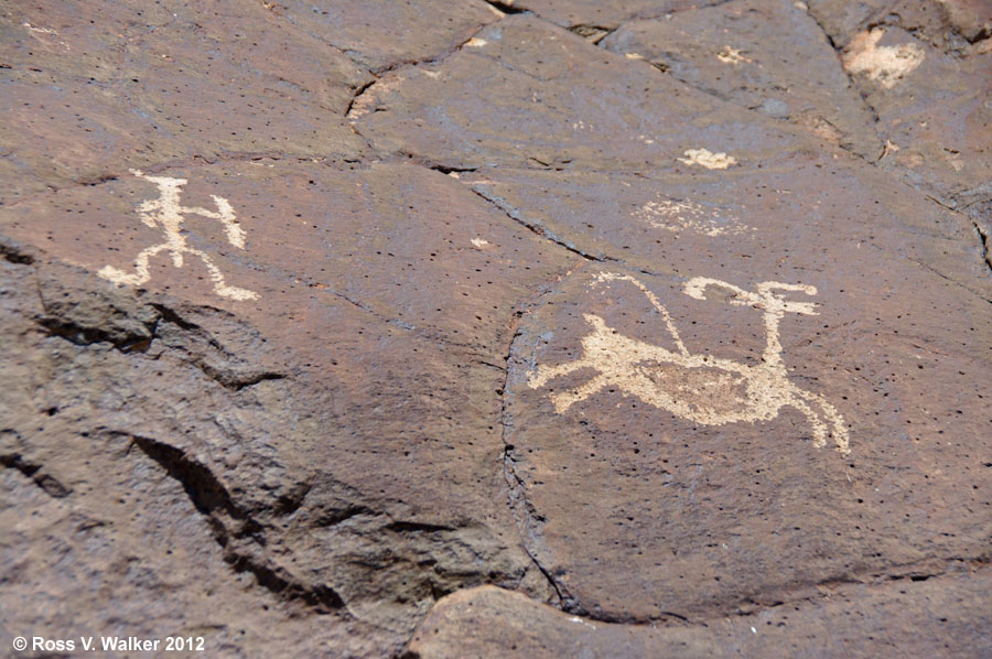 Coso bighorn sheep hunt petroglyphs