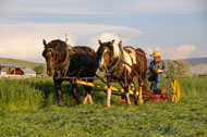 Legacy ranching photography