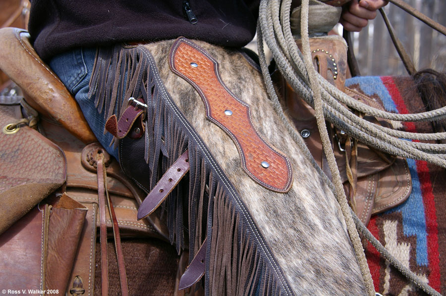 Saddle, chaps, and rope - horseback work gear, Montpelier, Idaho