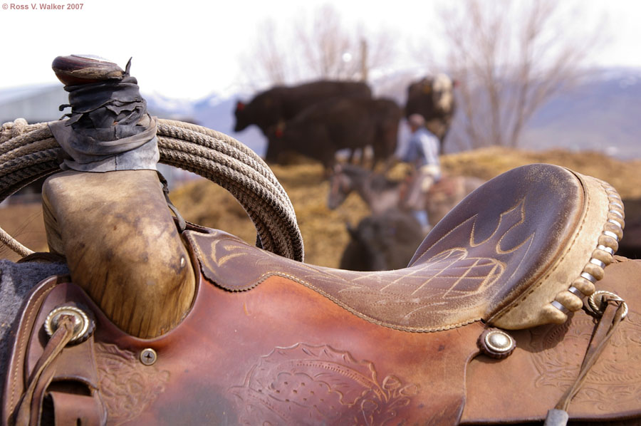 A well-used working-man's saddle, Montpelier, Idaho
