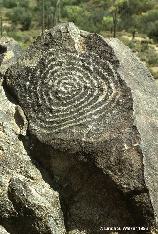 Spiral petroglyph - Signal Hill, Saguaro National Park, Arizona